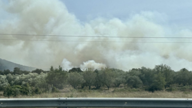 Hérault : 300 hectares brûlés dans un incendie en cours