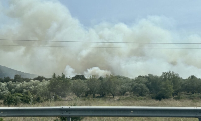 Hérault : 300 hectares brûlés dans un incendie en cours