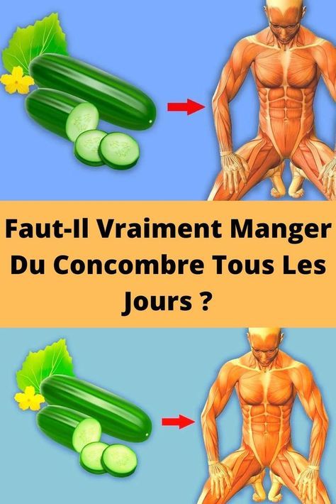 Faut-Il Vraiment Manger Du Concombre Tous Les Jours ? - Recettes Pratiques