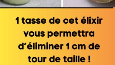 1 tasse de cet élixir vous permettra d’éliminer 1 cm de tour de taille !