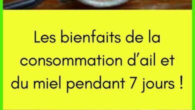 Les bienfaits de la consommation d’ail et du miel pendant 7 jours !