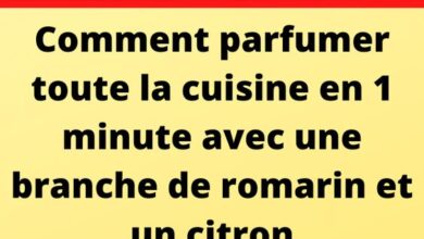 Comment parfumer toute la cuisine en 1 minute avec une branche de romarin et un citron