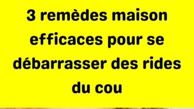 3 remèdes maison efficaces pour se débarrasser des rides du cou