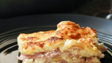 Idee repas soir : lasagne jambon à l'ancienne