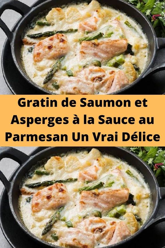 Gratin de Saumon et Asperges à la Sauce au Parmesan Un Vrai Délice