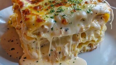 Lasagnes Fondantes au Poulet et Sauce Blanche Crémeuse