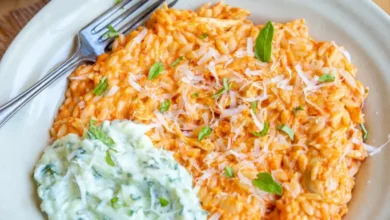 Orzo à la crème de poivrons, poulet effiloché et tzatziki