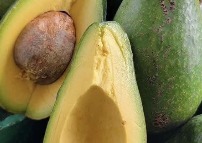 Avocat